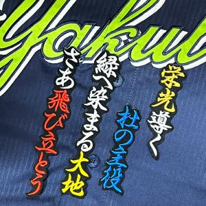 ☆送料無料☆東京 ヤクルト スワローズ つば九郎 短冊 刺繍 ワッペン