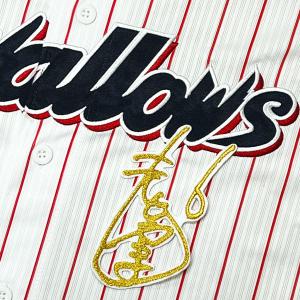 ☆送料無料☆東京 ヤクルト スワローズ つば九郎 短冊 刺繍 ワッペン