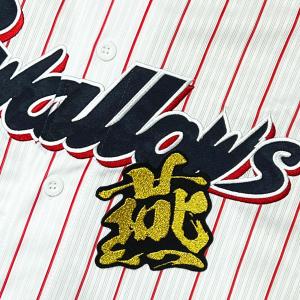 ☆送料無料☆東京 ヤクルト スワローズ つば九郎 短冊 刺繍 ワッペン