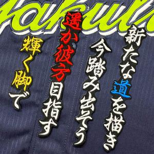 ☆送料無料☆東京 ヤクルト スワローズ つば九郎 シルエット 2 刺繍
