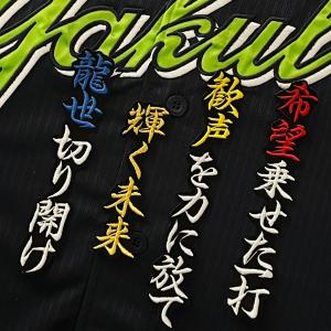 ☆送料無料☆阪神 タイガース 大山悠輔 応援歌 黒 応援歌 刺繍