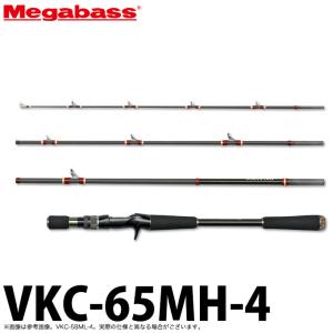 5)エバーグリーン ゼファー アバンギャルド ZAGS-96L+R (ファイナル