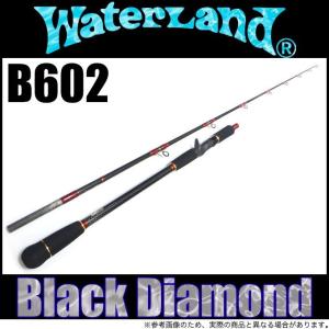 WaterLand（ウォーターランド） ブラックダイヤモンド S606