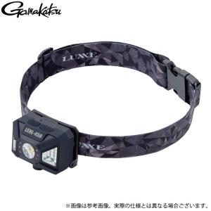 新品【送料無料】富士灯器 ヘッドライト ZEXUS ZX-R380 冨士灯器 【キャンペーン商品限定・専用ケース付き】冨士灯器 ゼクサス