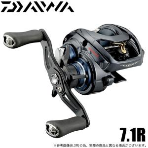 DAIWA（ダイワ） STEEZ (スティーズ) A II TW 1000 (右ハンドル) 2023