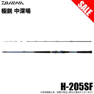 DAIWA（ダイワ） 【取り寄せ商品】 21 ディープゾーン GS 150-205・R