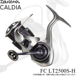 DAIWA（釣り） 23 タトゥーラ LT2500S-XH-QD スピニングリール - 最