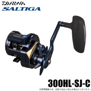 DAIWA（釣り） 21 ソルティガIC 300HL-SJ 釣り ベイトリール - 最安値