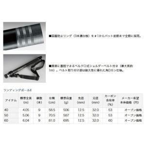 【目玉商品】ダイワ ランディングポール II ...の詳細画像2