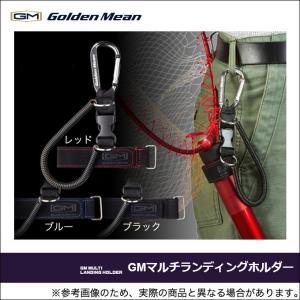 ゴールデンミーン GMマルチランディングホルダー　(5)