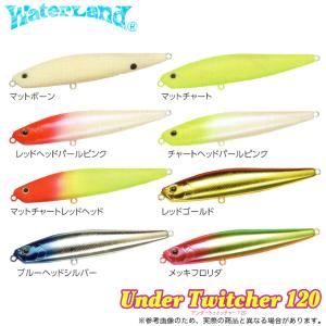 ウォーターランド ルアー まとめ売り ウォーターランド アンダートゥイッチャー 120 (ペンシルベイト) /(5