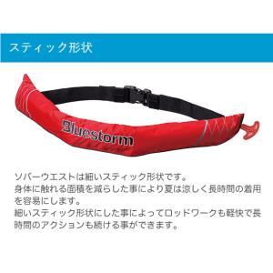 (7)ブルーストーム ソバーウエスト BSJ-...の詳細画像5