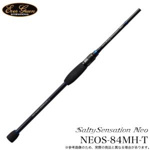 5)エバーグリーン ソルティーセンセーション スペリオル SPRS-66L/M-S