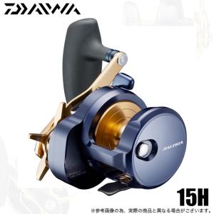 DAIWA（ダイワ） 25 ソルティガ 300 右ハンドル (2025年モデル