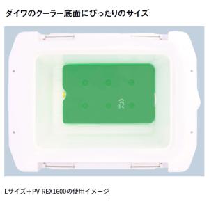 ダイワ CPアイス サイズ:L (保冷剤) ク...の詳細画像3