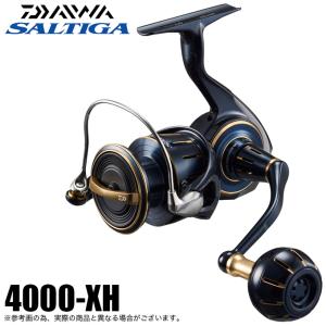 23ソルティガ　4000-H DAIWA（釣り） ダイワ 23 ソルティガ 4000-XH (2023年モデル