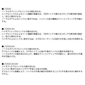 ダイワ 24 エメラルダス X LT2500-...の詳細画像4