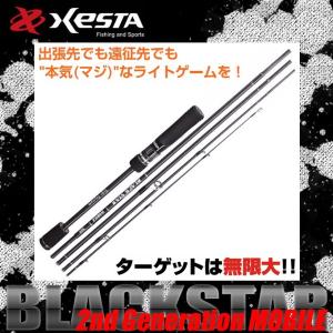 ゼスタ ブラックスターエクストラチューンド S58LX-S (ショート