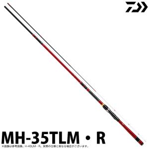 DAIWA（ダイワ） 【取り寄せ商品】ダイワ 20 BJ イカダ メタルチューン