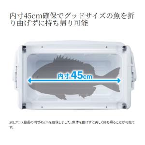 (7)シマノ ユニフリーズ CF 20L (N...の詳細画像4