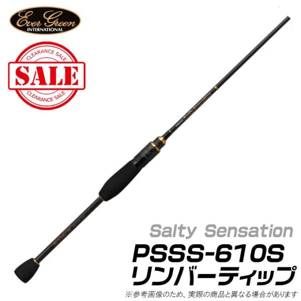 (5)【アウトレット商品】エバーグリーン ソルティセンセーション (PSSS-610S)(リンバーテ...