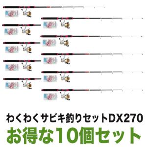 【目玉商品】プロマリン わくわくサビキ釣りセットDX270（お得な10個セット） /(5)｜f-marunishi