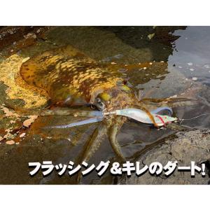 (8)シマノ QE-X25T セフィアクリンチ...の詳細画像2
