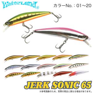 WaterLand（ウォーターランド） ジャークソニック65 ＃12〜＃41 65mm