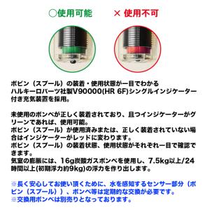 (7)ブルーストーム BSJ-5930RS R...の詳細画像4