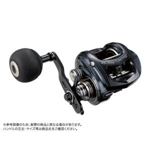 tailwalk（テイルウォーク） 【目玉商品】 ワイド バサル VT81R