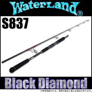 DAIWA（ダイワ） 【目玉商品】ダイワ キャタリナ BJ エアポータブル