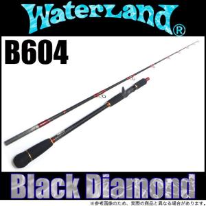 ロッド WATERLAND PREMIUMEDITION 66ML ウォーターランド プレミアムエディション 66SUL - 釣具の