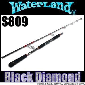 ロッド WATERLAND PREMIUMEDITION 66ML ウォーターランド(Water Land) プレミアムエディション WPE-66ML