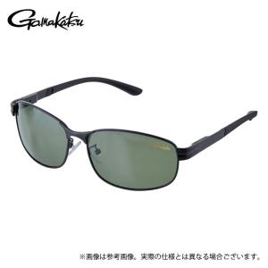 1/15まで全品+P5% 偏光グラス ストームライダー SR-016-P COVER