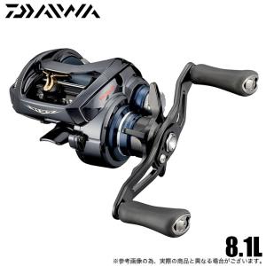 DAIWA（ダイワ） 24 スティーズ SV TW 100 右ハンドル (2024年モデル