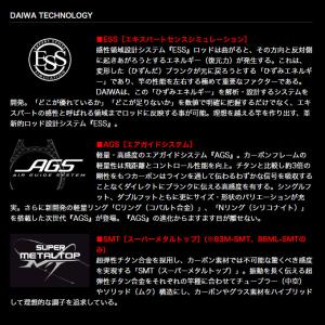 (7)【目玉商品】ダイワ エメラルダス STO...の詳細画像4