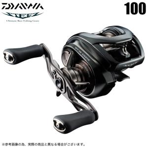 STEEZ 100H ベイトリール 右ハンドル (美品) DAIWA（釣り） ダイワ 24 スティーズ SV TW 100H 右ハンドル