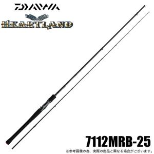 DAIWA(釣り) ダイワ 23 イグジスト SF SF2500SS-H (2023年 DAIWA(釣り) ダイワ 23 イグジスト SF SF2500SS-H (2023年