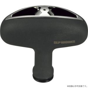DAIWA（ダイワ） 【取り寄せ商品】ダイワ SLP WORKS 20 ソルティガ