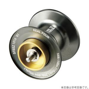 DAIWA（ダイワ） 【取り寄せ商品】ダイワ SLP WORKS 20 ソルティガ