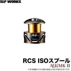 DAIWA（ダイワ） 【取り寄せ商品】ダイワ SLP WORKS 20 ソルティガ