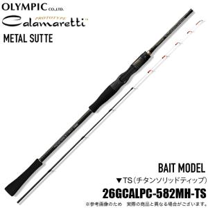 tailwalk（テイルウォーク） ティップバン TZ SH63ML/TISL 16272 大型