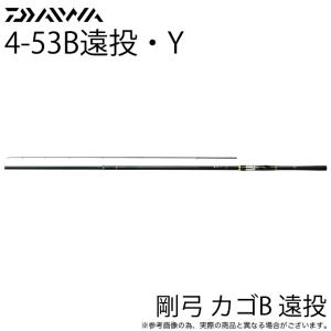 DAIWA（ダイワ） 【目玉商品】ダイワ 21 剛弓紀州遠投 3-63T・N (磯竿