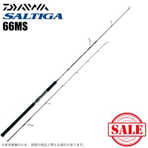 DAIWA（ダイワ） 25 ソルティガ C EXPEDITION 710-8 (オフショア