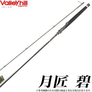 ロッド TICT MSR-72AP\"d-spec\" msr72ap_1.jpg