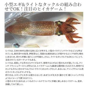 (8)シマノ (QE-X18W) セフィア ク...の詳細画像5