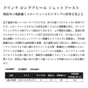 (8)シマノ (QE-Z30W) セフィア ク...の詳細画像1