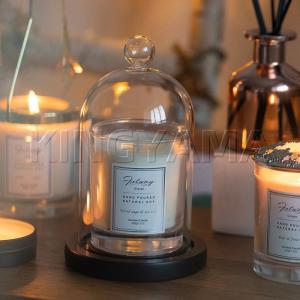 EDK9 アイアン プラントホルダー キャンドルホルダー ガラスカップ