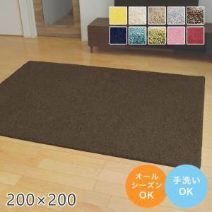 アウトレット ラグ 無地 シャギー 国産ナイロンラグ ジャスパー 200×200cm プレーベル カーペット 手洗い シンプル グレー レッド イエロー
