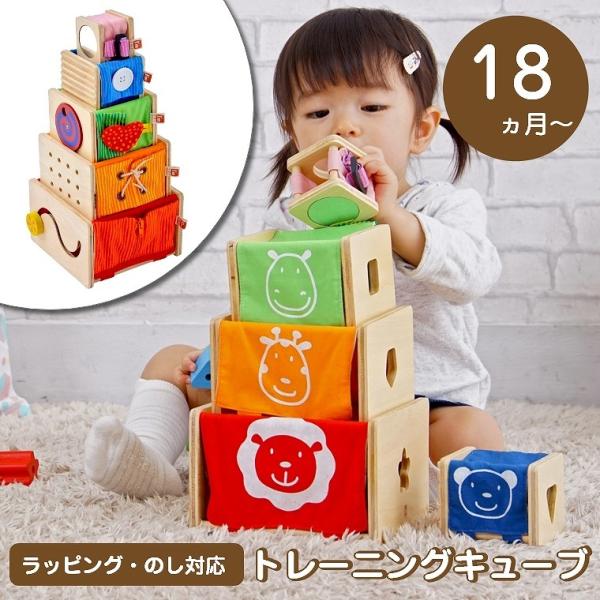 知育玩具 木のおもちゃ 4面知育タワーで指先の動きを身に付ける トレーニングキューブ IM-1206...